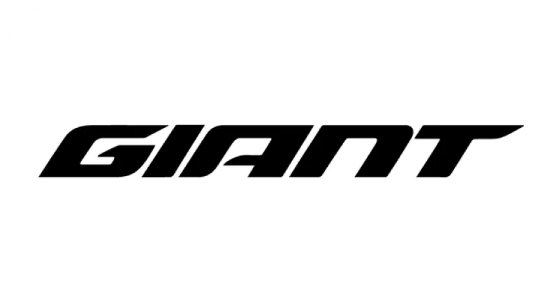 giant cycle service at home mumbai