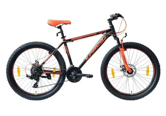 Frog Raptor 26T cycle on rent