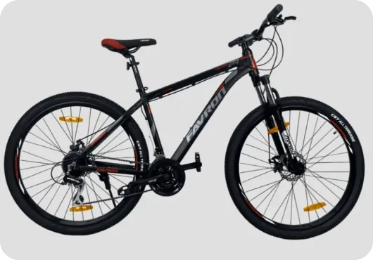 Favron Legend DX 29er 29T  cycle on rent