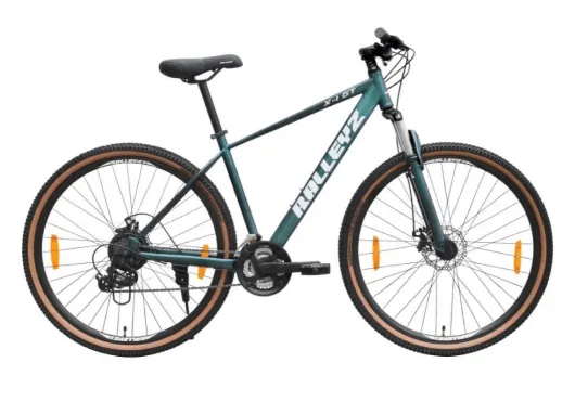 Ralleyz X-1 GT 29T cycle on rent