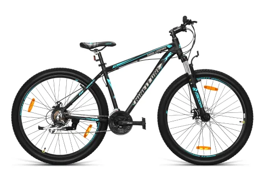 Ninety One Snow Leopard 29T cycle on rent