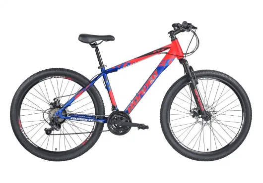 Roadeo Hardliner 29T cycle on rent
