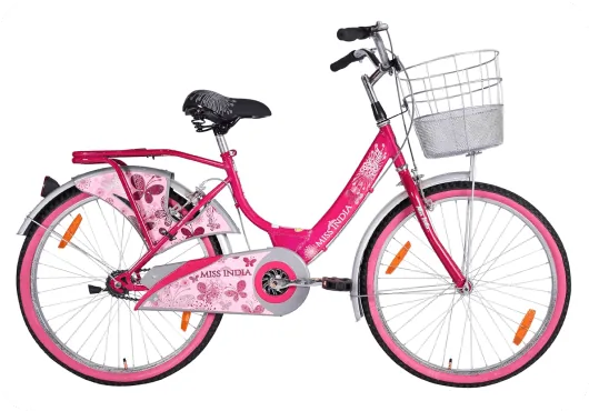 Hero Miss India 24T cycle on rent
