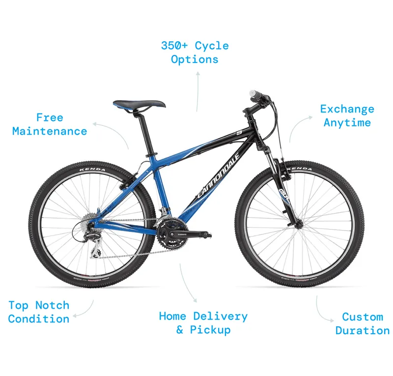 bike rentals near me